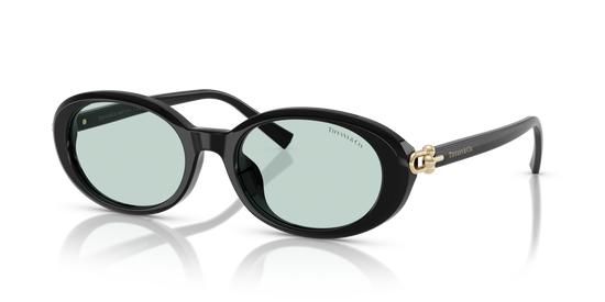 Tiffany & Co. 4242D 8001D9 54 Ekartman Kadın Güneş Gözlüğü - 1