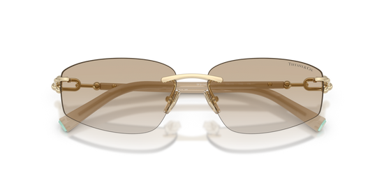 Tiffany & Co. 3114 602111 59 Ekartman Unisex Güneş Gözlüğü - 5