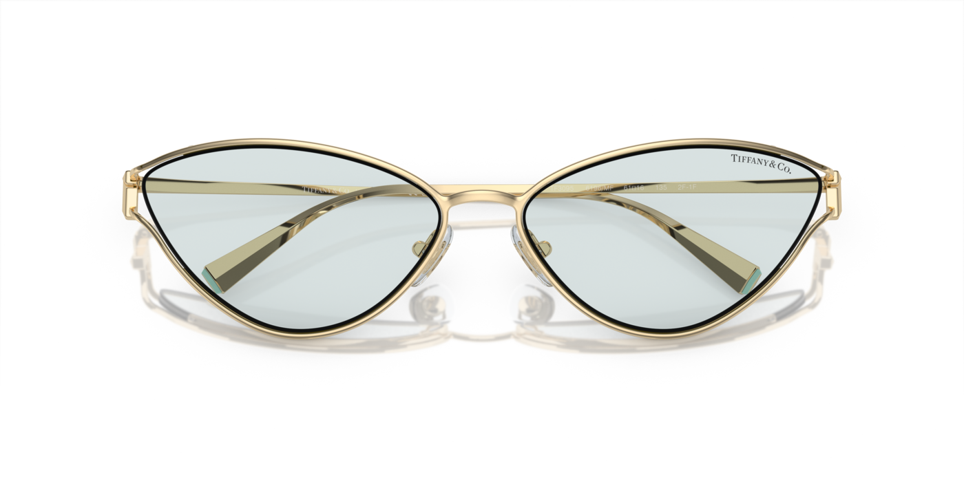 Tiffany & Co. 3095 6196MF 61 Ekartman Kadın Güneş Gözlüğü - 6