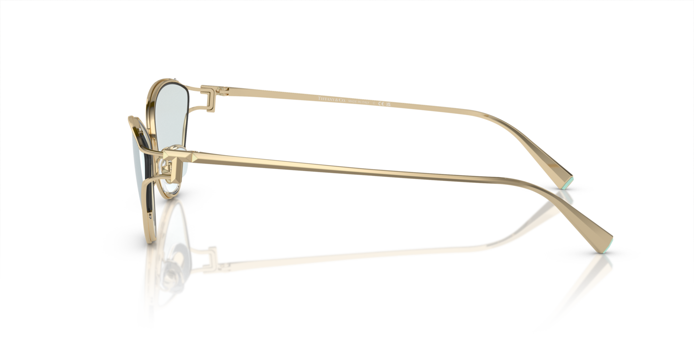 Tiffany & Co. 3095 6196MF 61 Ekartman Kadın Güneş Gözlüğü - 2