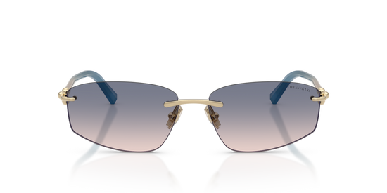 Tiffany & Co. 3114 619116 59 Ekartman Unisex Güneş Gözlüğü - 4