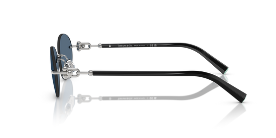 Tiffany & Co. 3104D 600180 56 Ekartman Unisex Güneş Gözlüğü - 2