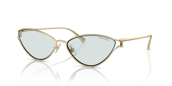 Tiffany & Co. 3095 6196MF 61 Ekartman Kadın Güneş Gözlüğü - 1