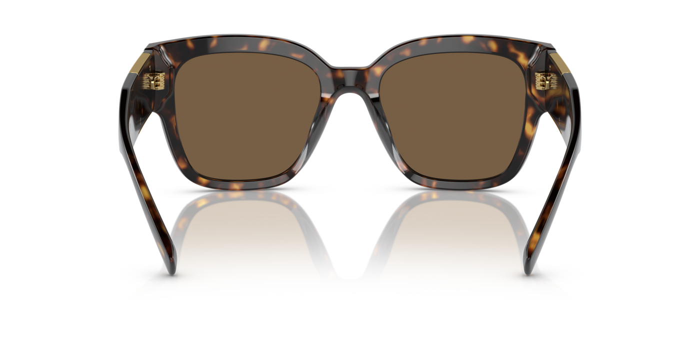 Versace 4437U 108/73 54 Ekartman Kadın Güneş Gözlüğü - 3