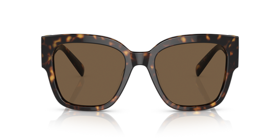 Versace 4437U 108/73 54 Ekartman Kadın Güneş Gözlüğü - 4