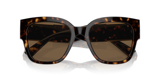 Versace 4437U 108/73 54 Ekartman Kadın Güneş Gözlüğü - 5