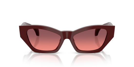 Versace 4488U 551520 53 Ekartman Kadın Güneş Gözlüğü - 4