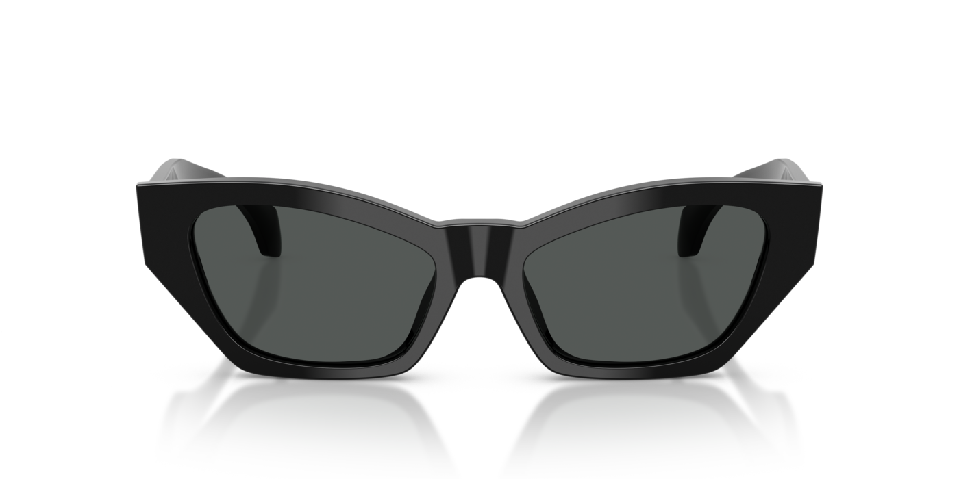 Versace 4488U GB1/87 53 Ekartman Kadın Güneş Gözlüğü - 4