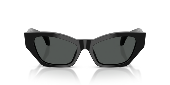 Versace 4488U GB1/87 53 Ekartman Kadın Güneş Gözlüğü - 4