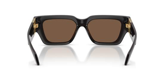 Versace 4497U 554373 53 Ekartman Kadın Güneş Gözlüğü - 3