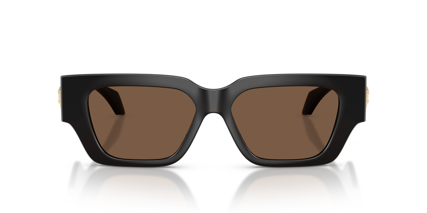 Versace 4497U 554373 53 Ekartman Kadın Güneş Gözlüğü - 4