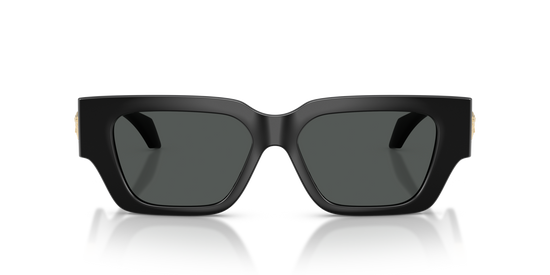 Versace 4497U GB1/87 53 Ekartman Kadın Güneş Gözlüğü - 4